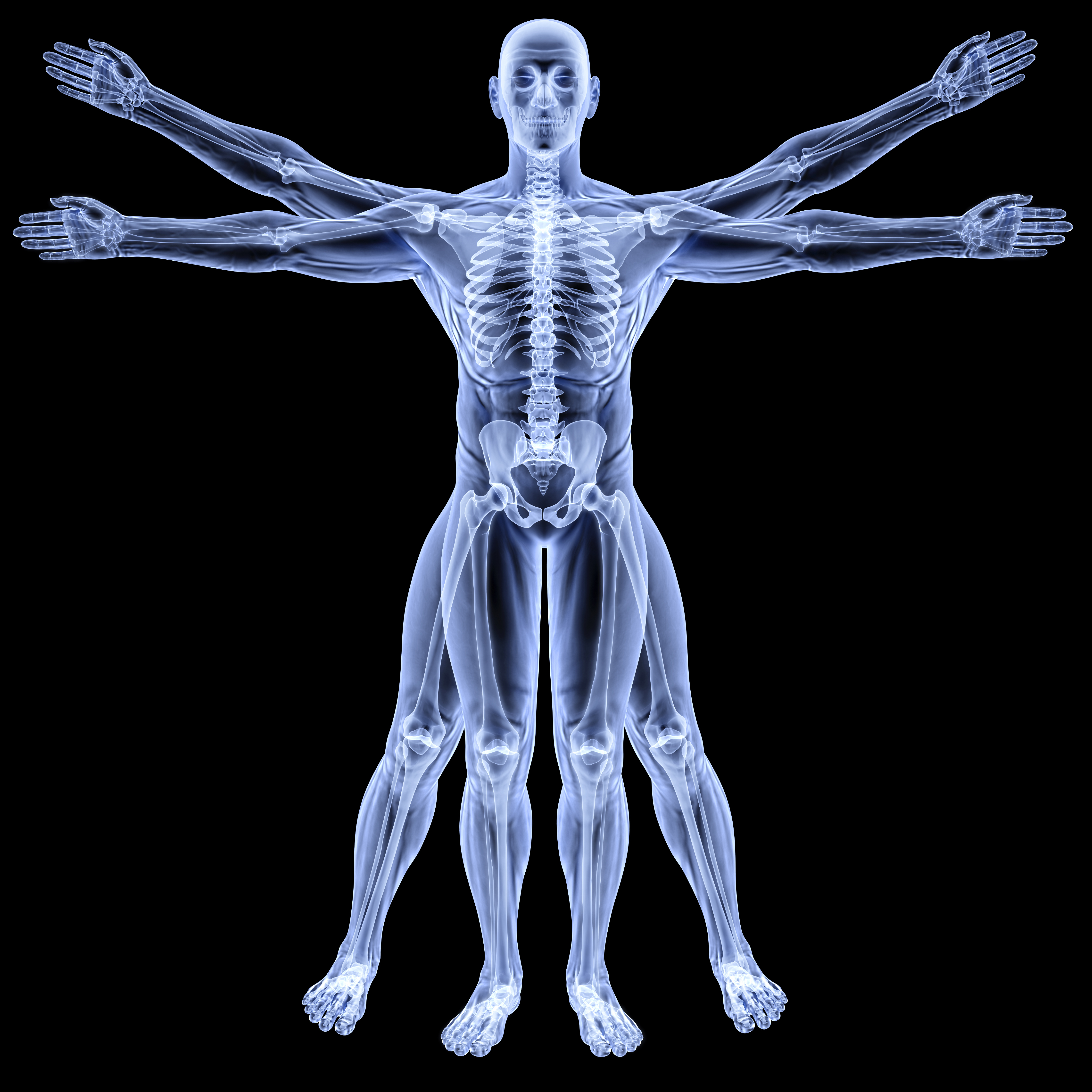 Биологическое центрирование. Рентген человека. Рентгеновский снимок человека. Скелет рентген. Скелет человека рентген.